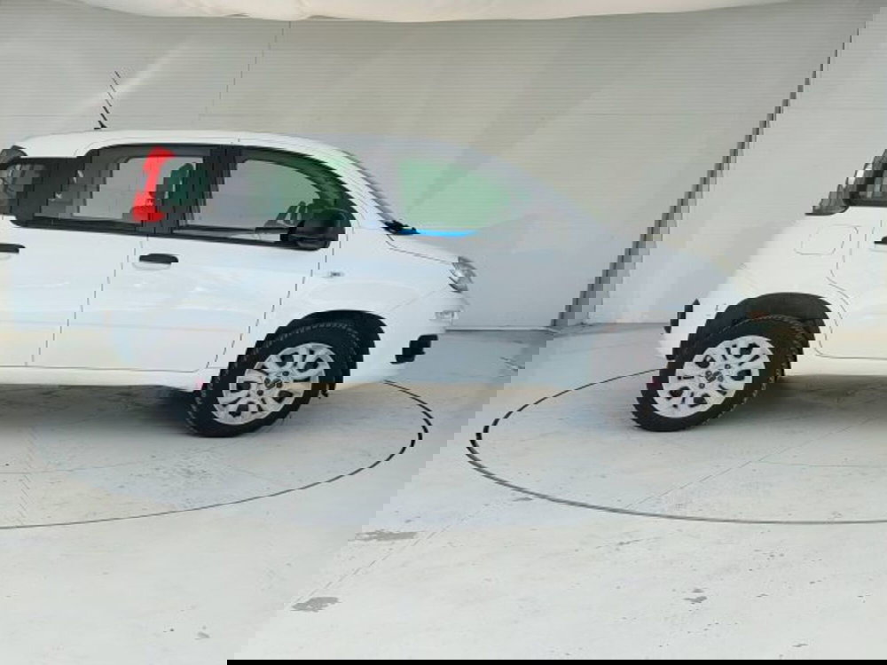 Fiat Panda usata a Teramo (4)