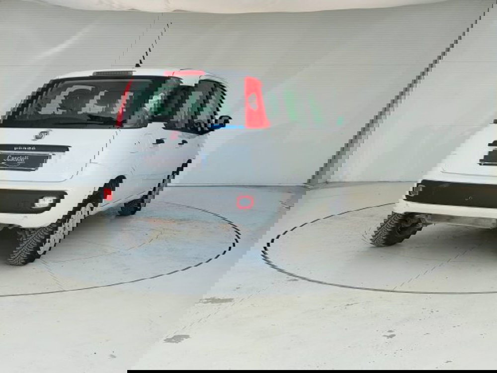 Fiat Panda usata a Teramo (5)