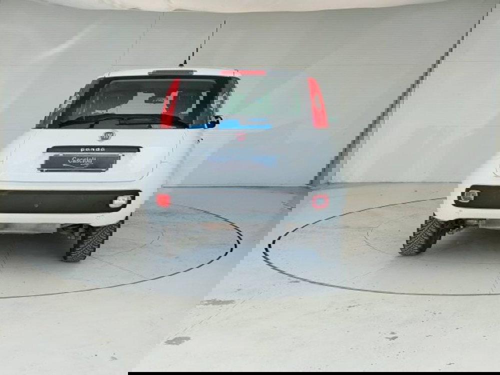 Fiat Panda usata a Teramo (6)