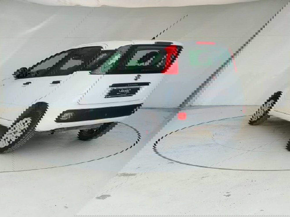 Fiat Panda usata a Teramo (7)