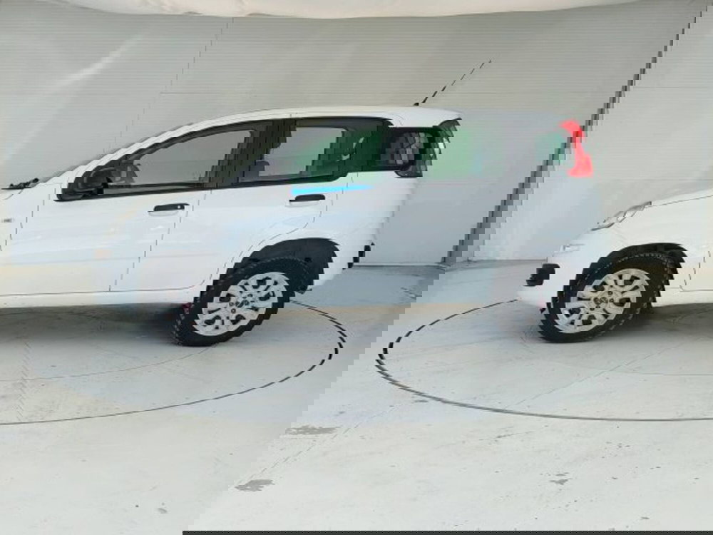 Fiat Panda usata a Teramo (8)