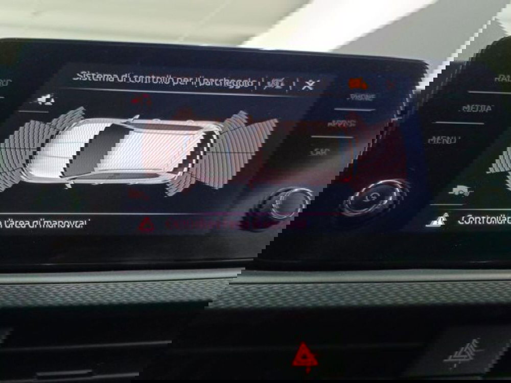 Skoda Kamiq usata a Catania (17)