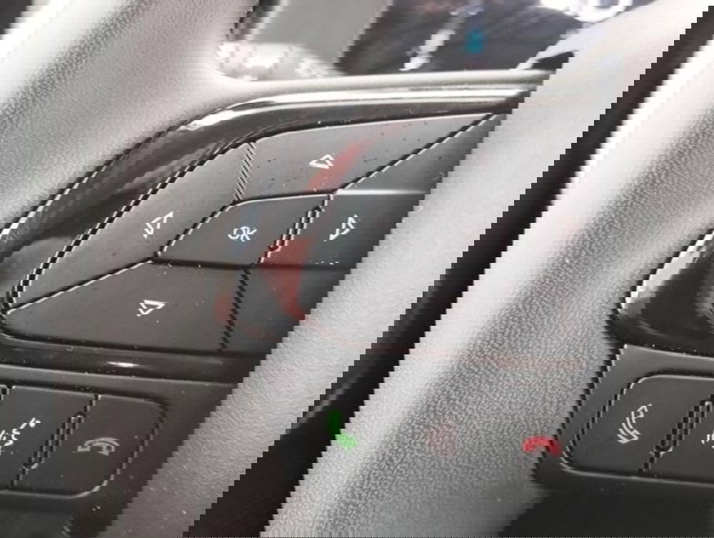 Fiat Panda Cross usata a Como (11)