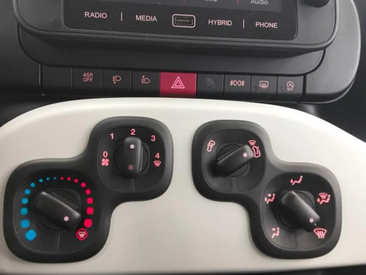 Fiat Panda Cross usata a Como (16)