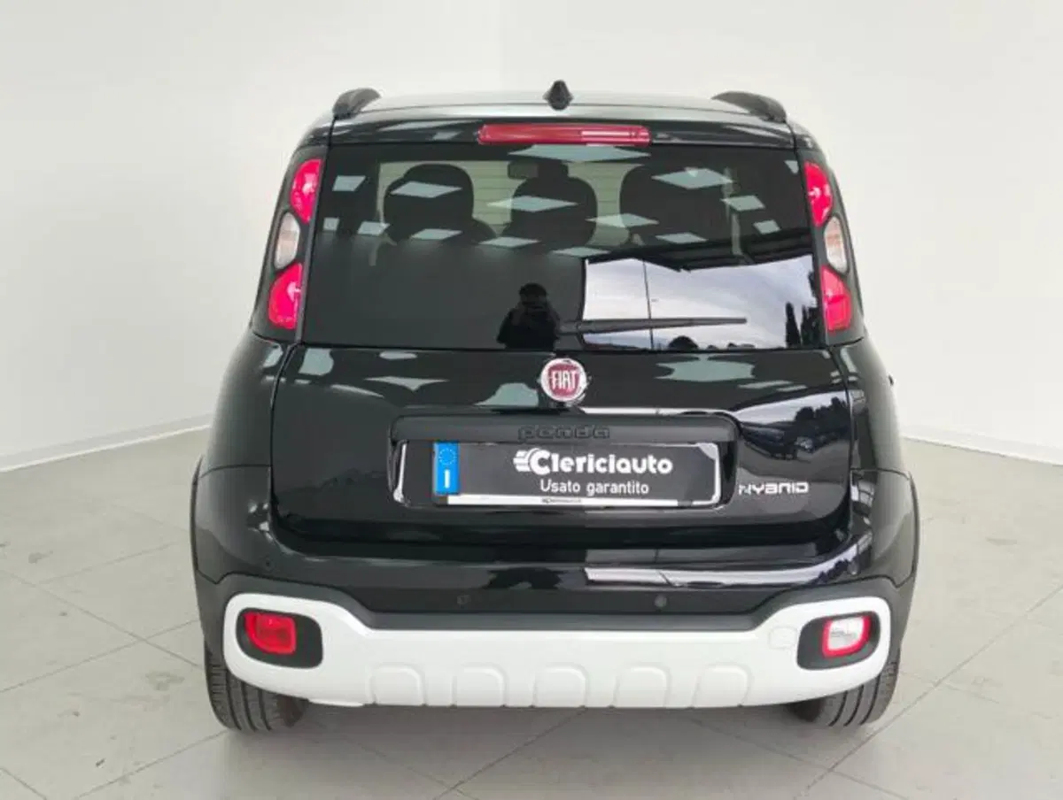 Fiat Panda Cross usata a Como (7)