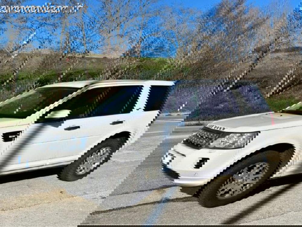 Land Rover Freelander usata a Campobasso (11)
