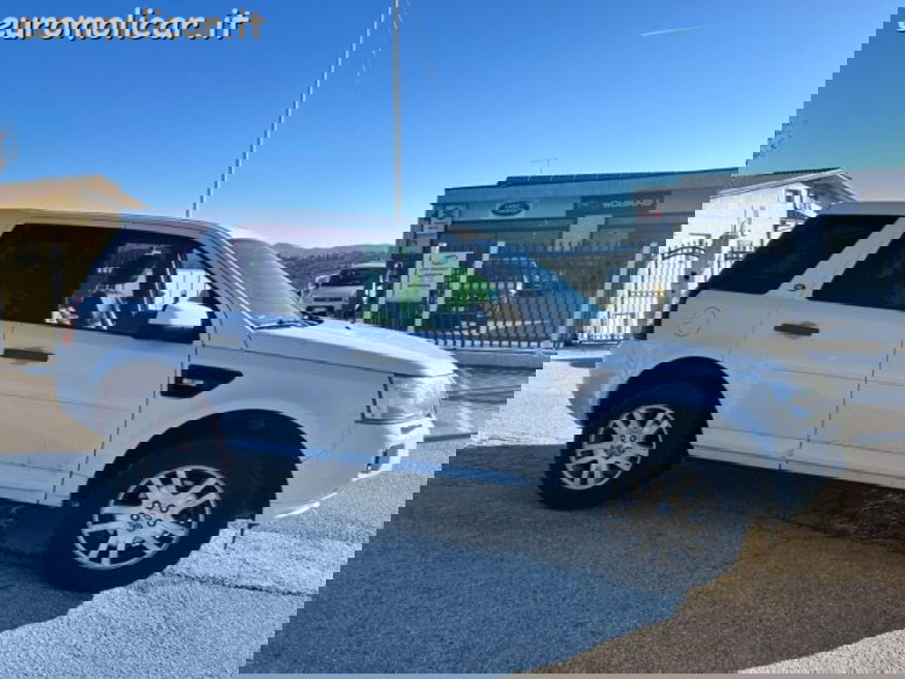 Land Rover Freelander usata a Campobasso (6)