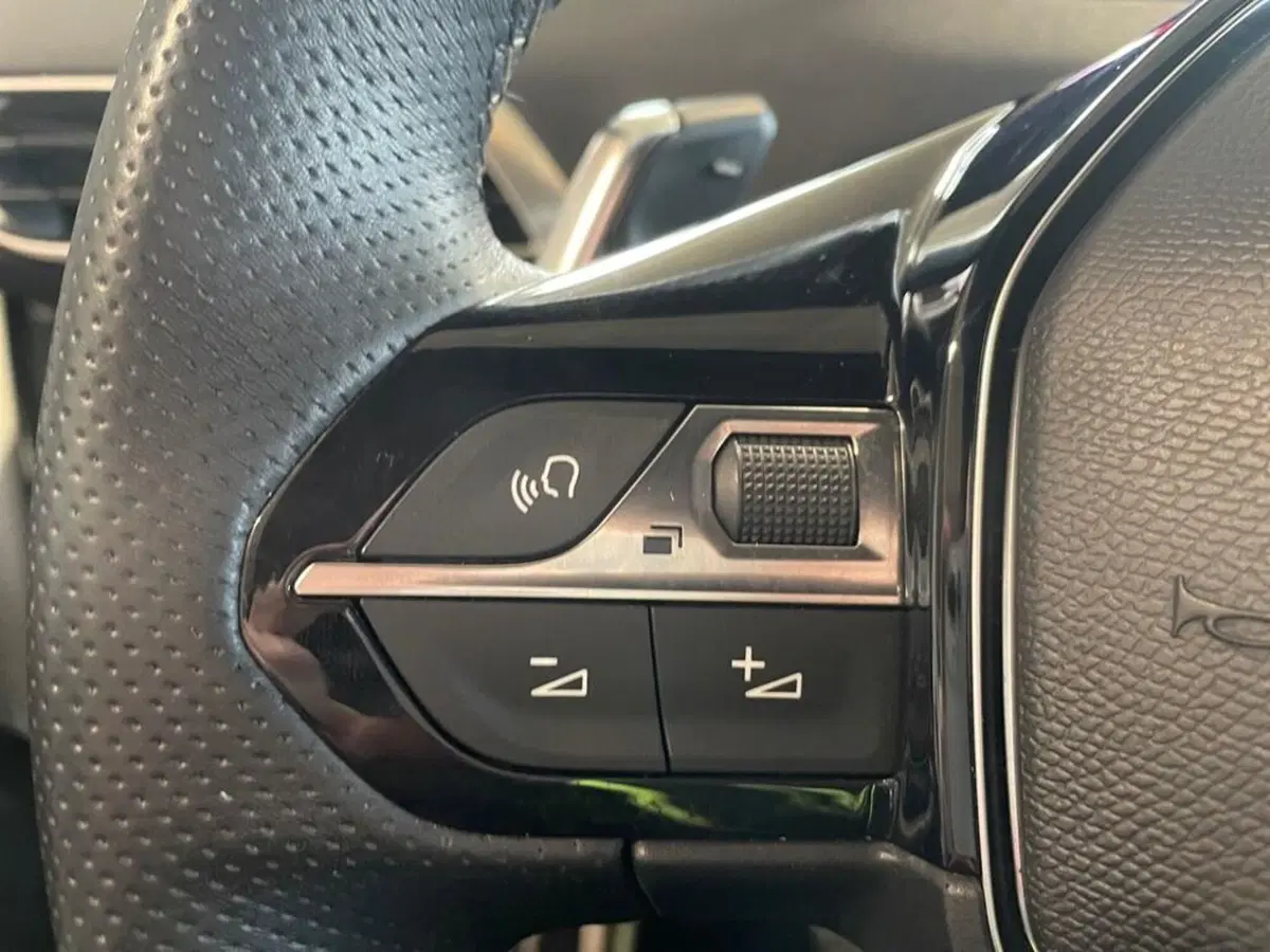 Peugeot 3008 usata a Torino (13)