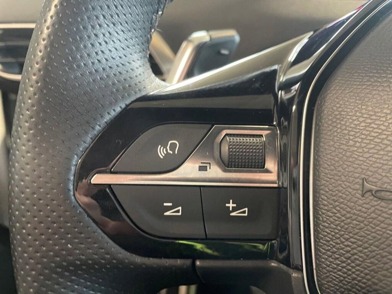 Peugeot 3008 usata a Torino (13)