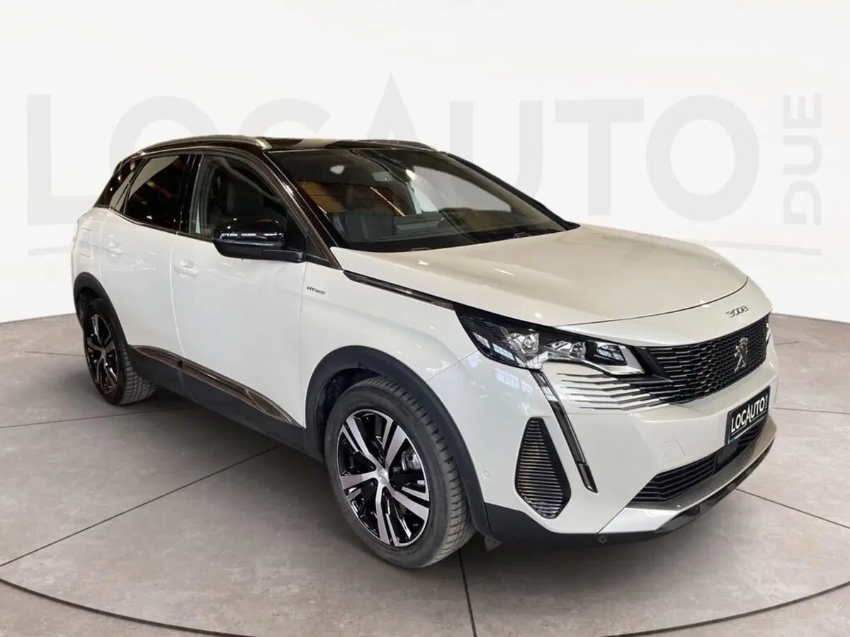 Peugeot 3008 usata a Torino (3)