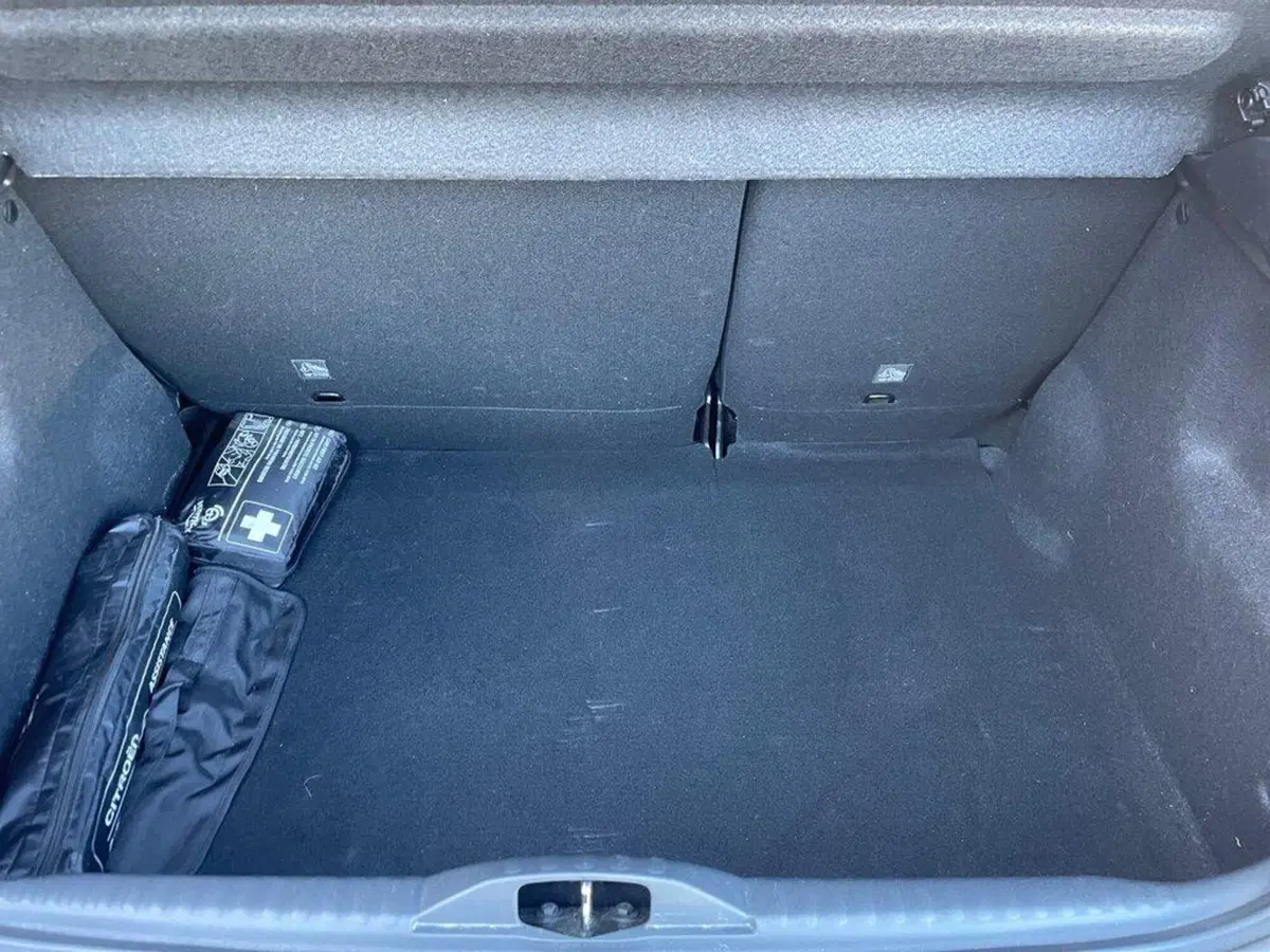 Citroen C3 usata a Torino (9)