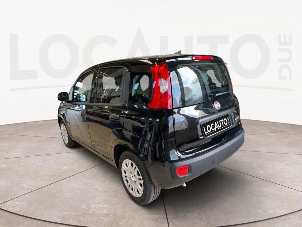 Fiat Pandina nuova a Torino (5)
