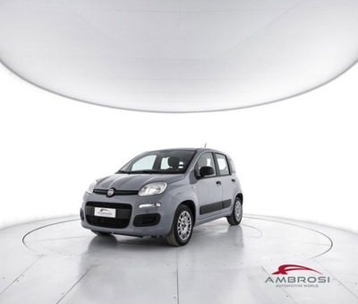 Fiat Panda 1.2 EasyPower del 2020 usata a Corciano