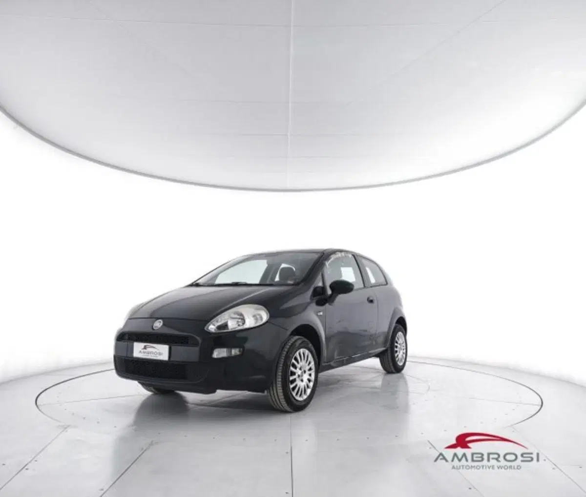 Fiat Punto usata a Perugia