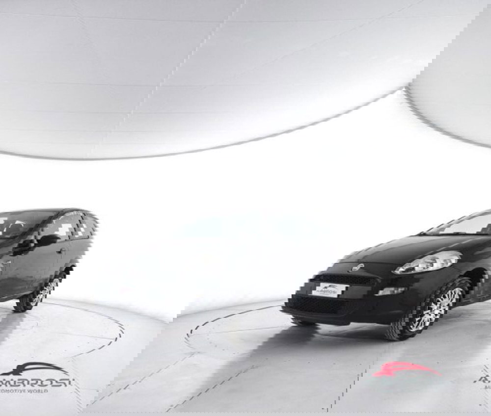 Fiat Punto usata a Perugia