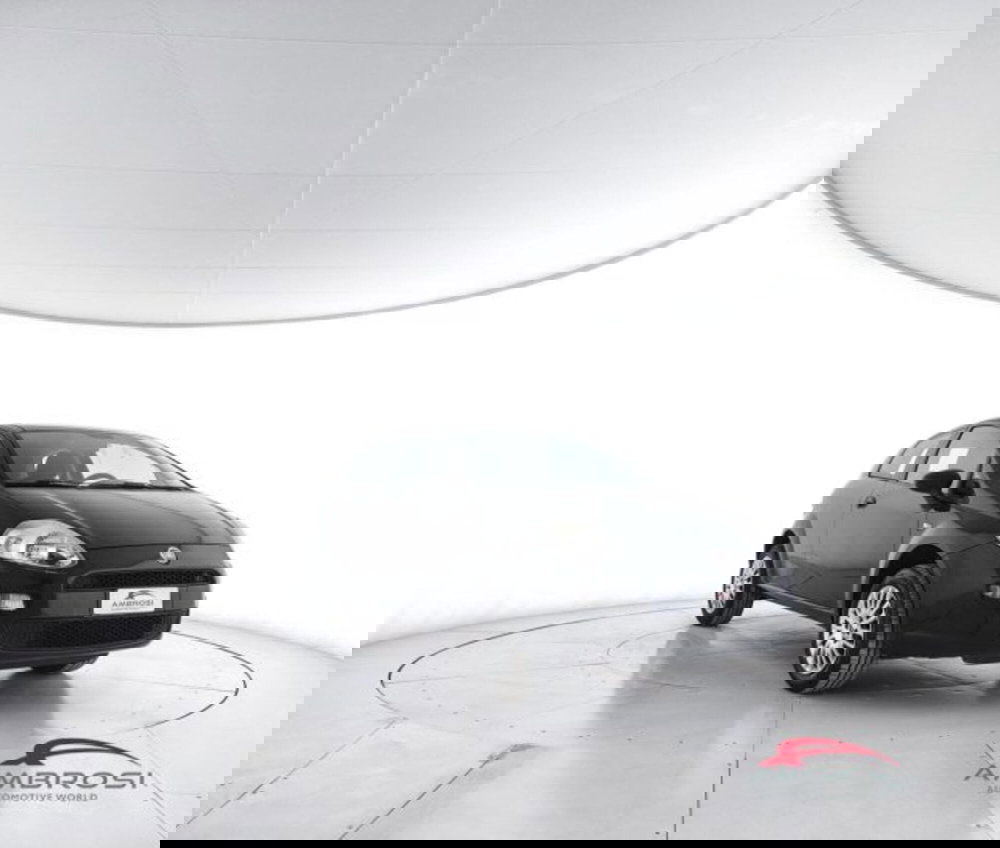 Fiat Punto usata a Perugia (2)