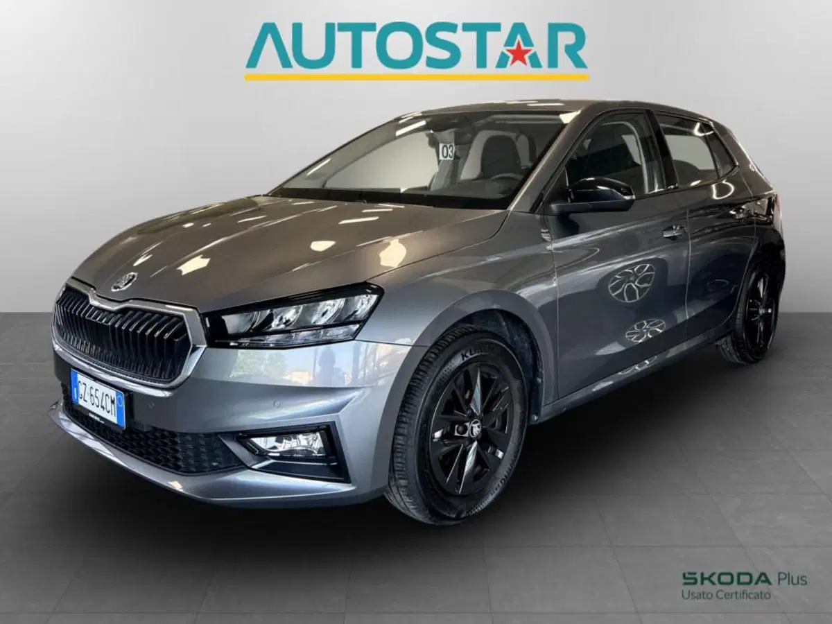 Skoda Fabia usata a Piacenza