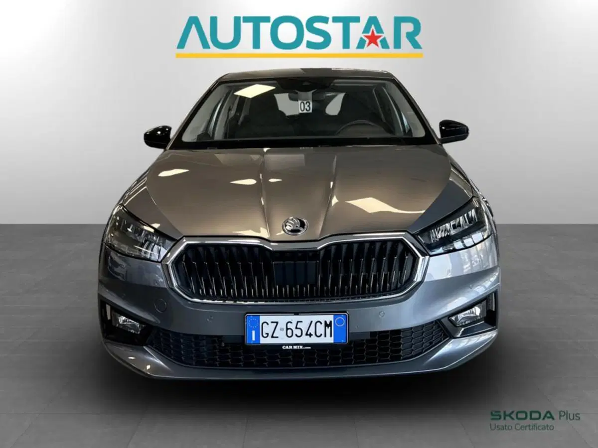 Skoda Fabia usata a Piacenza (2)