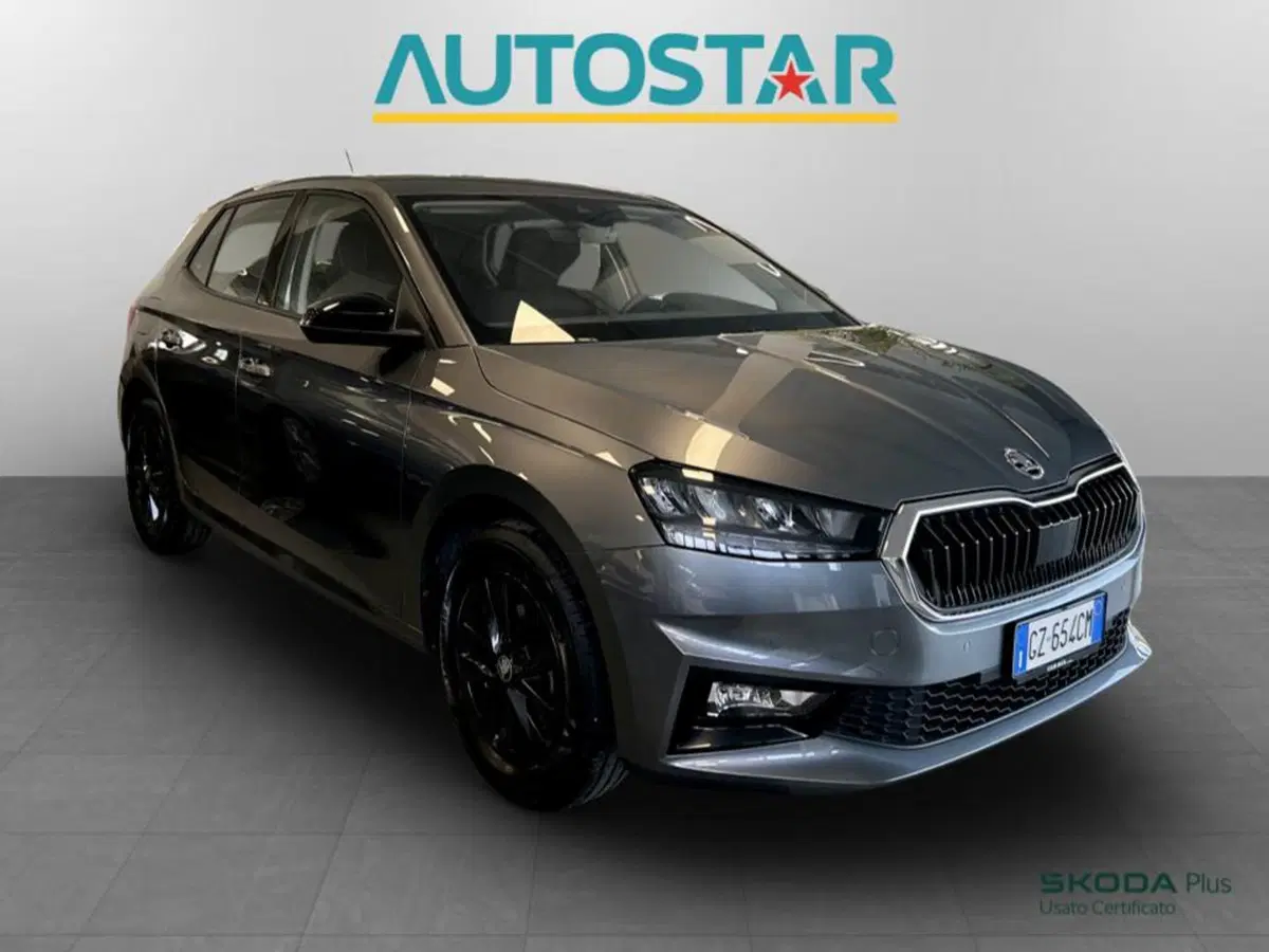 Skoda Fabia usata a Piacenza (3)