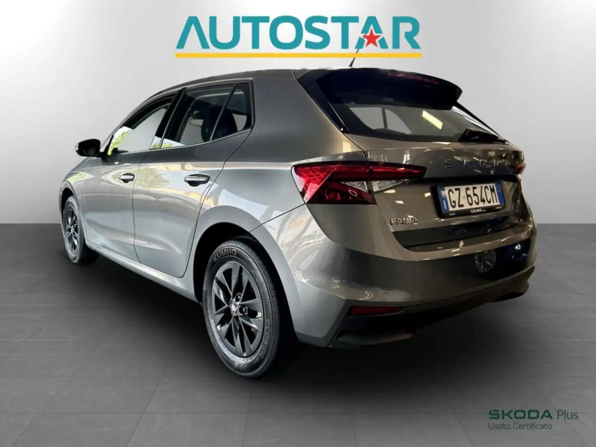 Skoda Fabia usata a Piacenza (4)
