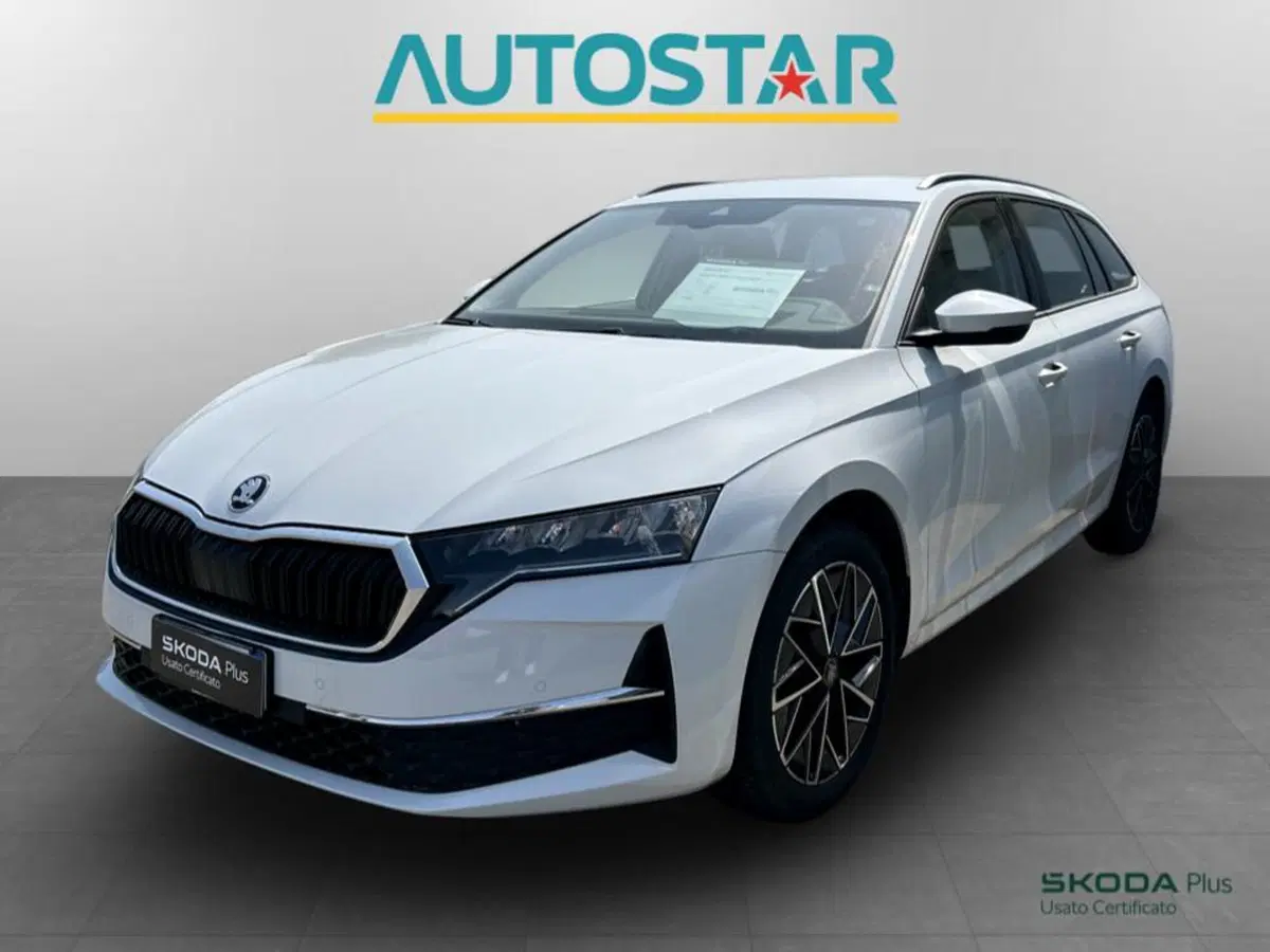 Skoda Octavia Station Wagon usata a Piacenza