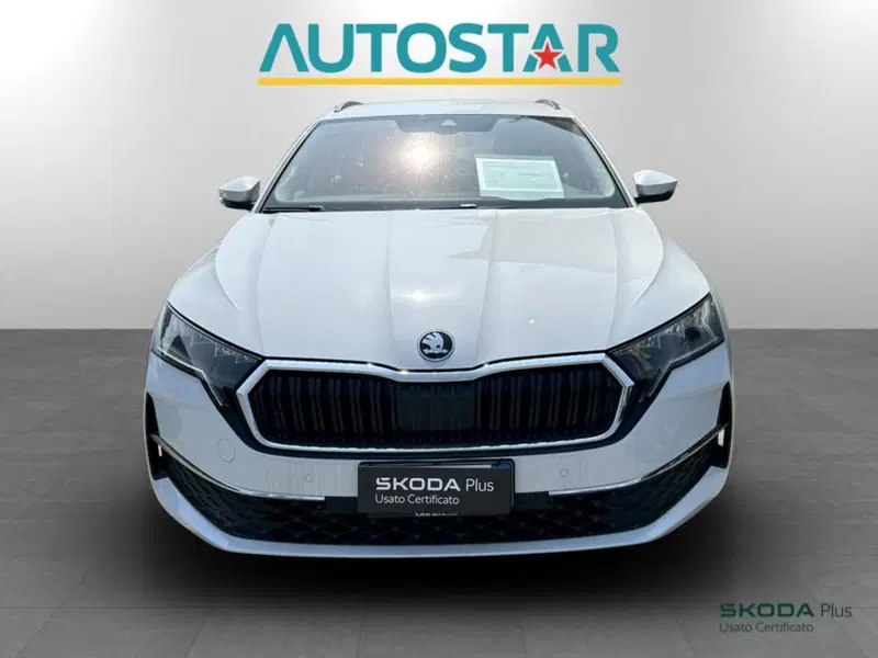 Skoda Octavia Station Wagon usata a Piacenza (2)