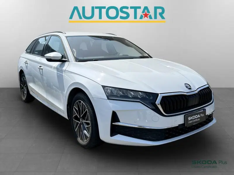 Skoda Octavia Station Wagon usata a Piacenza (3)