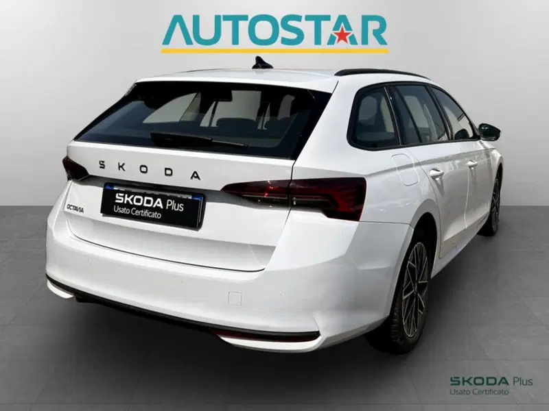 Skoda Octavia Station Wagon usata a Piacenza (6)