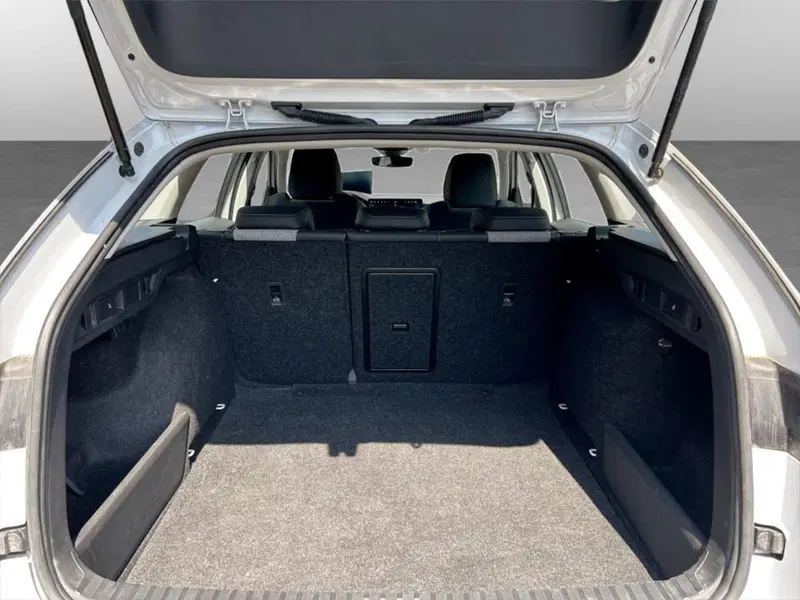 Skoda Octavia Station Wagon usata a Piacenza (7)