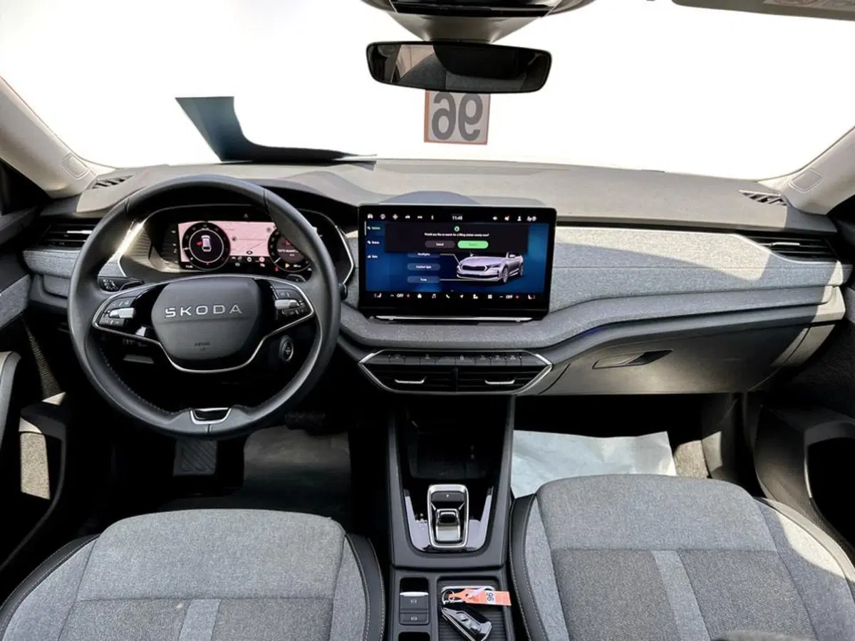 Skoda Octavia Station Wagon usata a Piacenza (8)