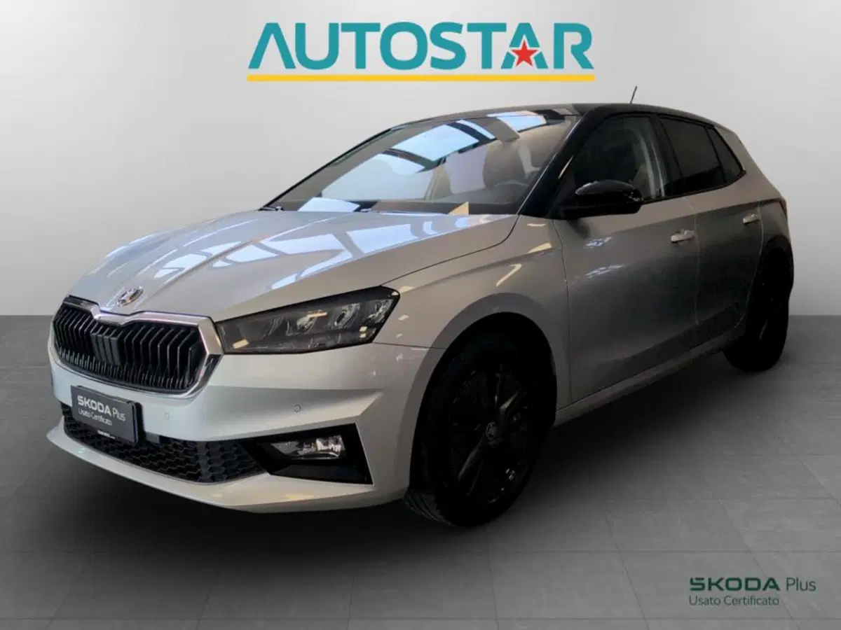 Skoda Fabia usata a Piacenza