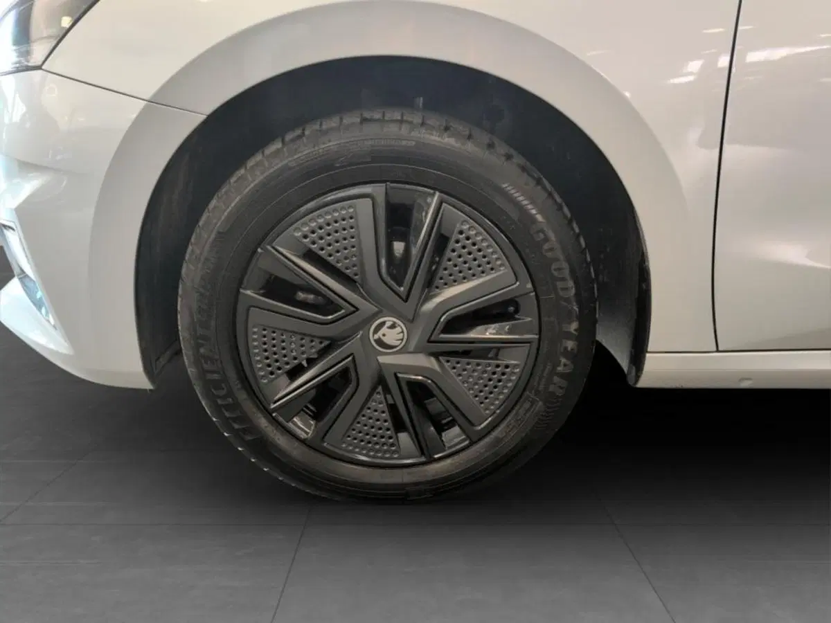 Skoda Fabia usata a Piacenza (14)