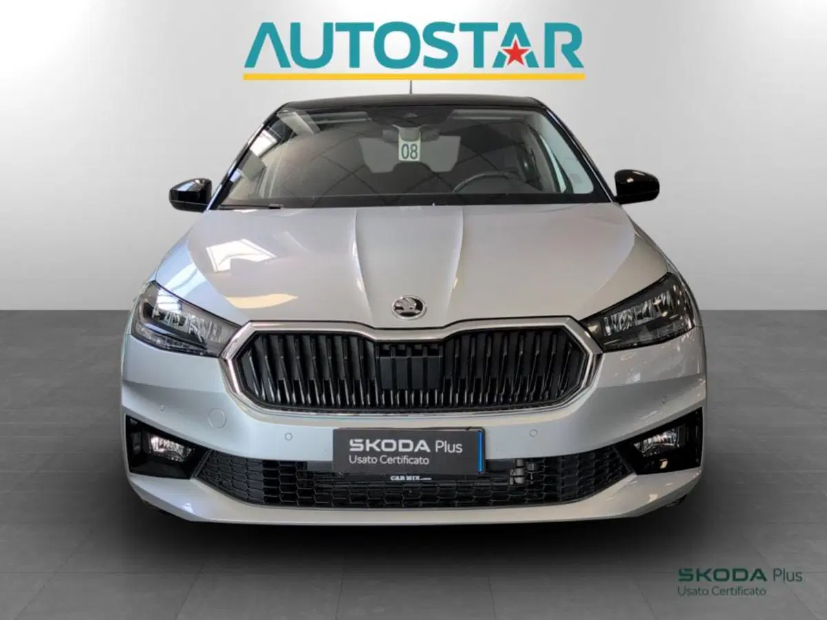 Skoda Fabia usata a Piacenza (2)