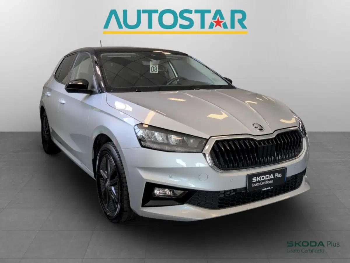 Skoda Fabia usata a Piacenza (3)