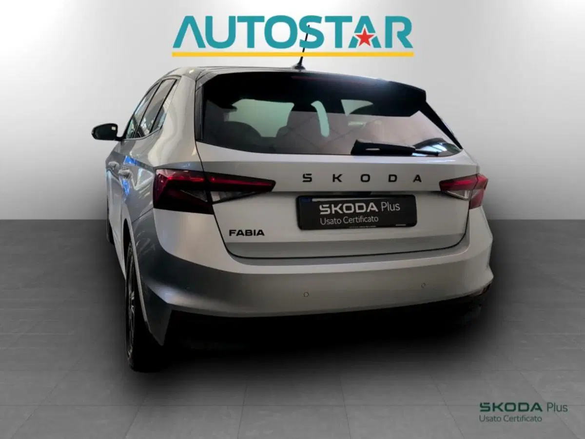 Skoda Fabia usata a Piacenza (4)
