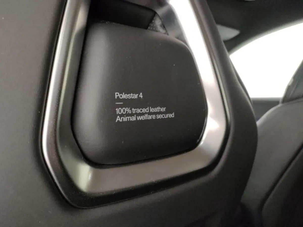 Polestar Polestar 4 usata a Modena (20)
