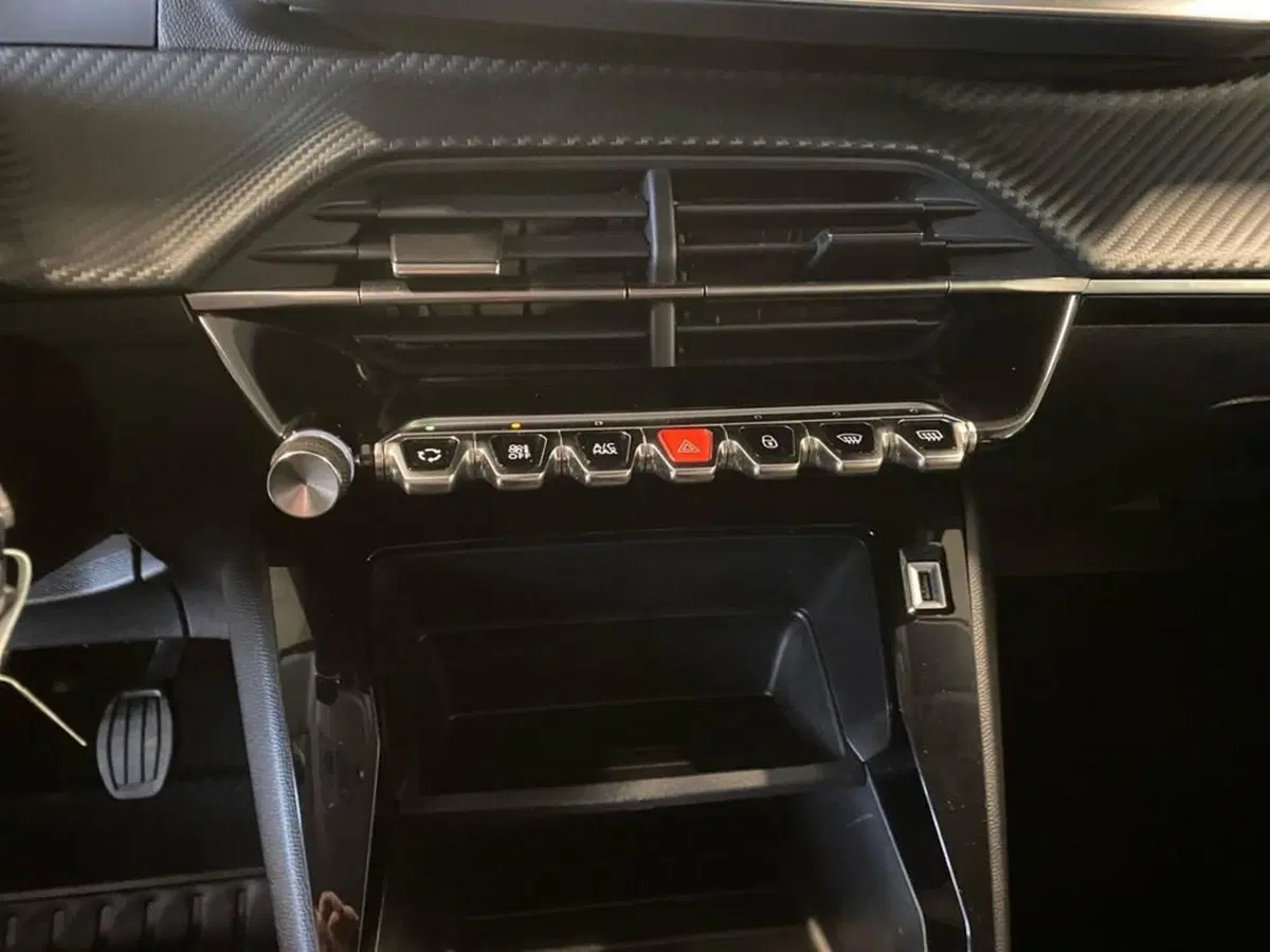 Peugeot 208 usata a Torino (11)