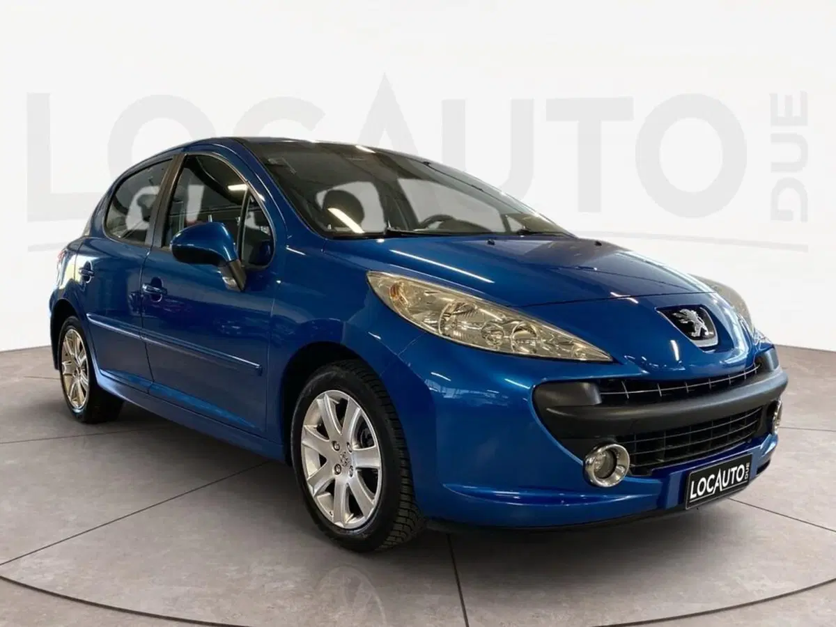 Peugeot 207 usata a Torino (2)