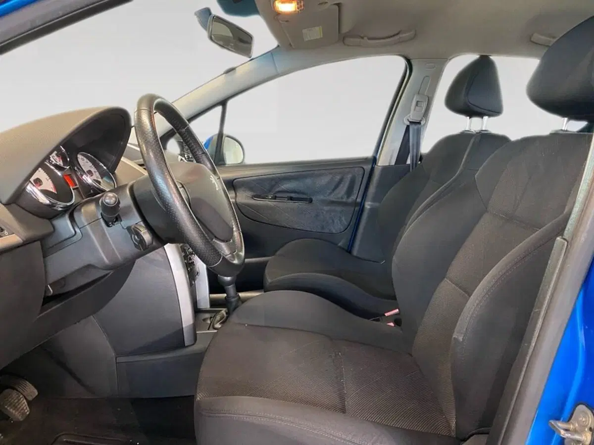 Peugeot 207 usata a Torino (6)