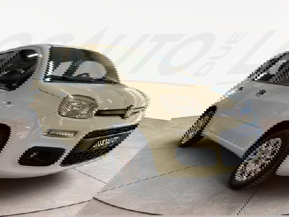 Fiat Panda usata a Torino (3)