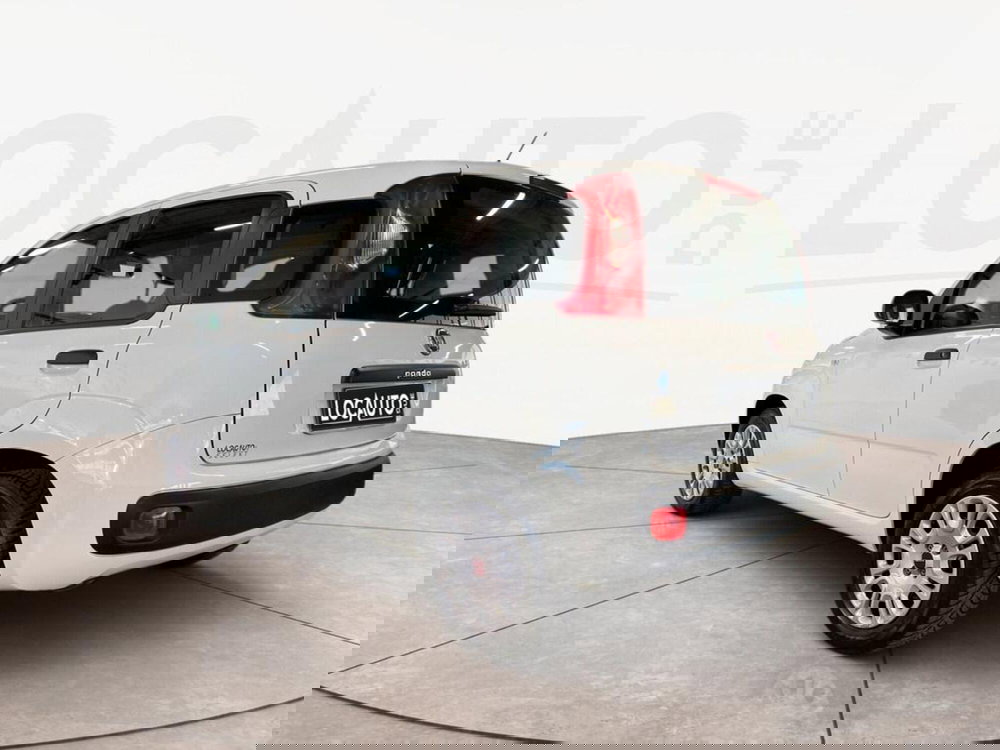 Fiat Panda usata a Torino (5)