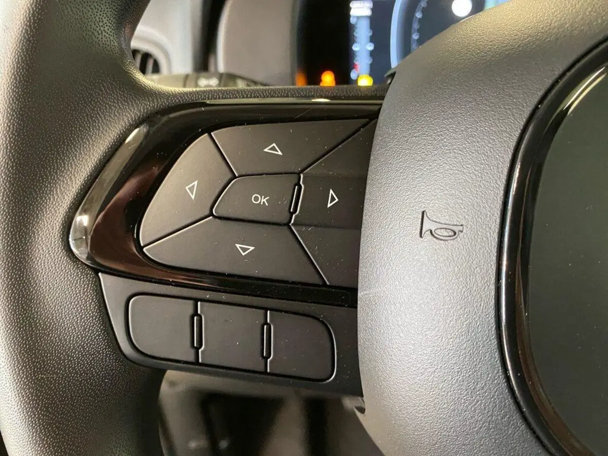 Fiat Panda Cross nuova a Torino (13)