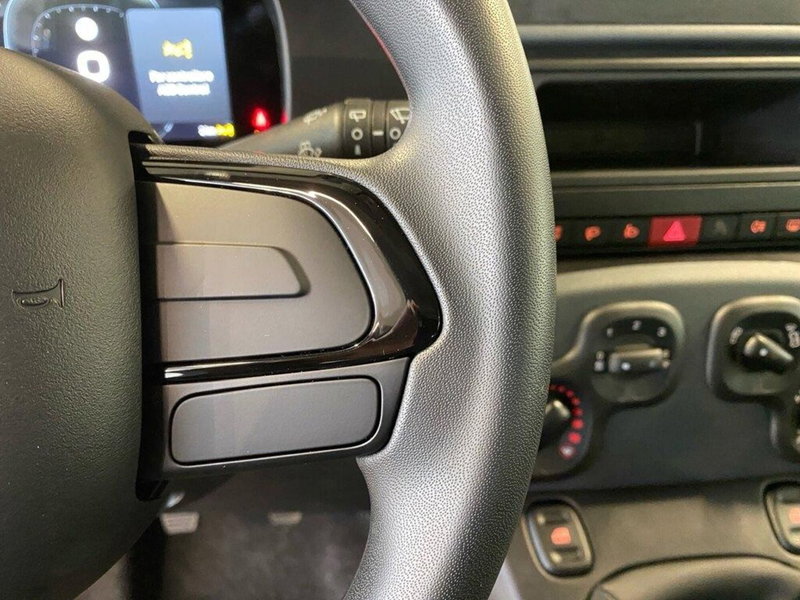 Fiat Panda Cross nuova a Torino (14)