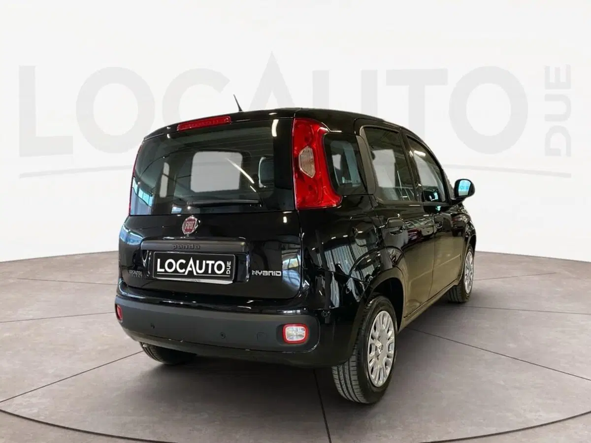 Fiat Panda Cross nuova a Torino (4)