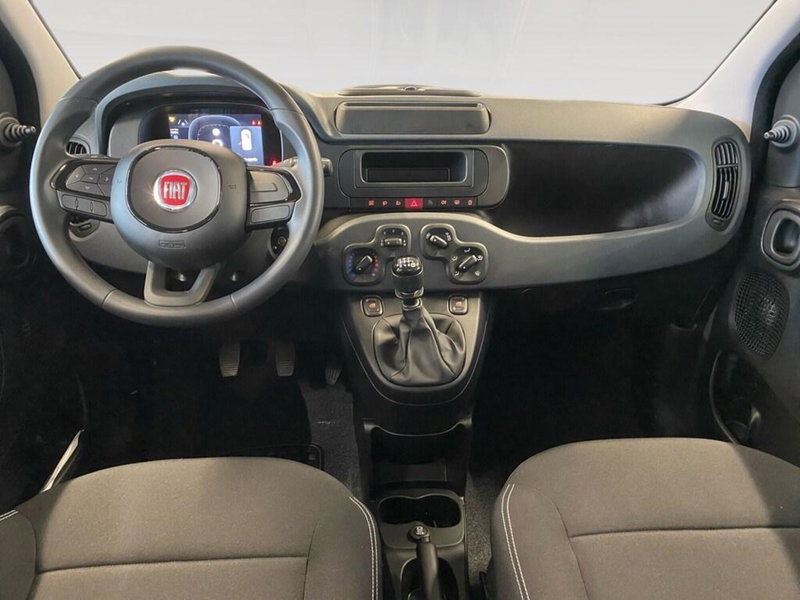 Fiat Panda Cross nuova a Torino (6)
