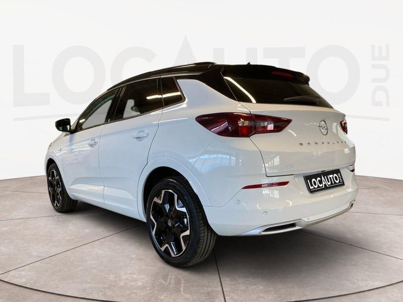 Opel Grandland nuova a Torino (5)