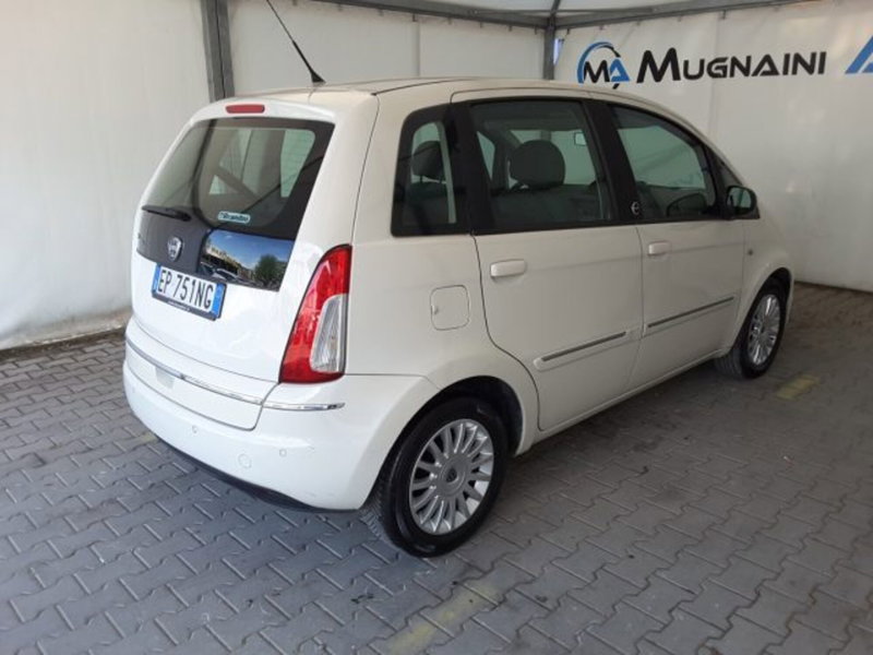 Lancia Musa usata a Firenze (12)