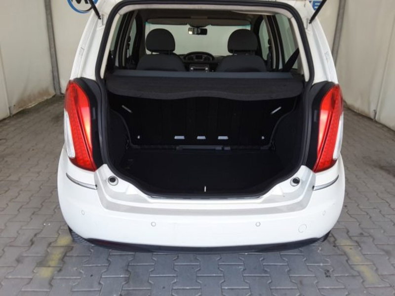 Lancia Musa usata a Firenze (13)