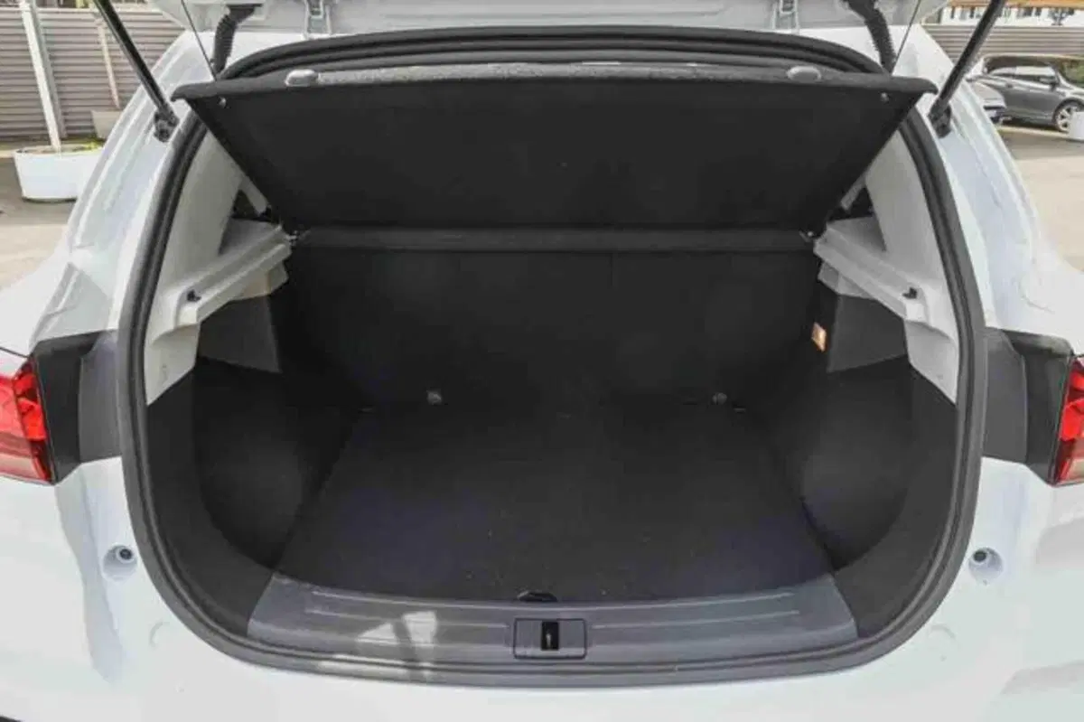 Mg ZS usata a Torino (9)