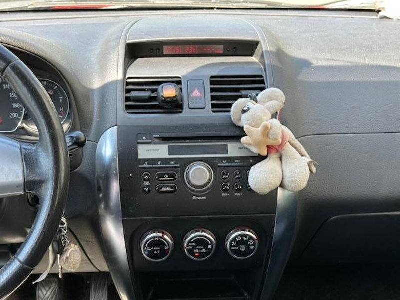 Fiat Sedici usata a Sondrio (12)